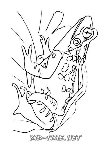 Realistic Frog Coloring Pages 024 Kids Time Fun Places To Visit And