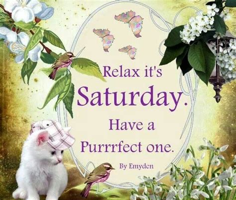 Relax It S Saturday Have A Purrrfect One Pictures Photos And Images