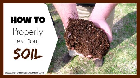 How To Properly Test Your Soil The Homestead Garden The Homestead