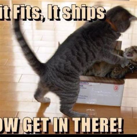 If It Fits It Ships Funny Animal Memes Funny Animals Funny