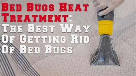 Bed Bugs Heat Treatment The Best Way Of Getting Rid Of Bed Bugs
