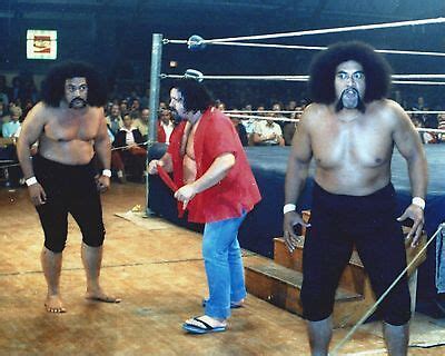 Captain Lou Albano X Photo Wrestling Picture Capt Wwf Ebay