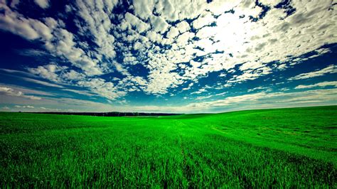Download Wallpaper 1920x1080 Field Sky Grass Clouds Green Summer
