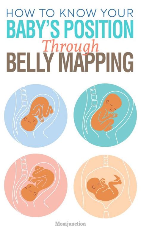 How To Know Your Babys Position Through Belly Mapping