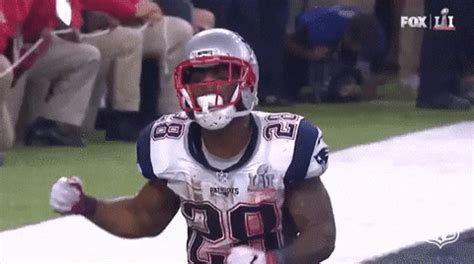 Check spelling or type a new query. New England Patriots GIFs - Find & Share on GIPHY