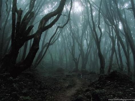 Dark Scary Forest With Full Moon Wallpapers Hd Desktop Background