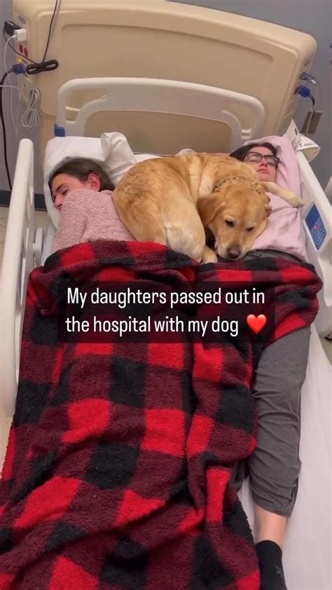 my girls have been doing everything for me while i have been in the hospital [video] funny