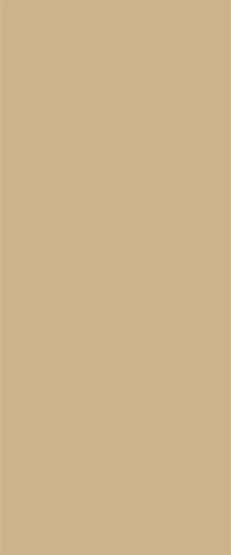 0958 Beige Solid Colors