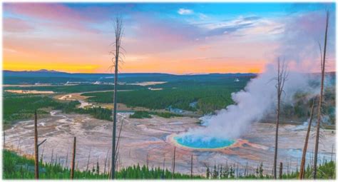 Glacier And Yellowstone Masters Touch Tours