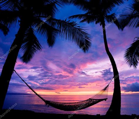 Beautiful Vacation Sunset Hammock Silhouette With Palm Trees — Stock