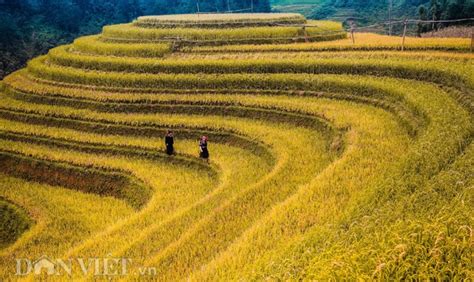 Những Hình ảnh Tuyệt đẹp Về Phong Cảnh Thiên Nhiên Việt Nam