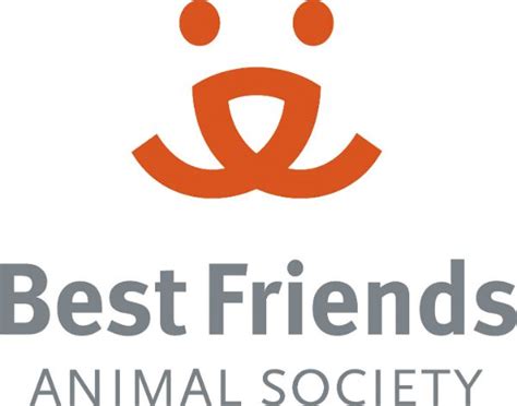 6 Organizations That Protect Animal Rights Animal Society Best