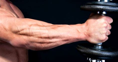 Top 4 Exercises To Build Massive Forearms Generation Iron