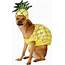 Rubies Costume Company Pineapple Dog Small  Chewycom