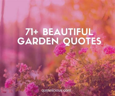 71 Beautiful Garden Quotes And Sayings For Life And Happiness