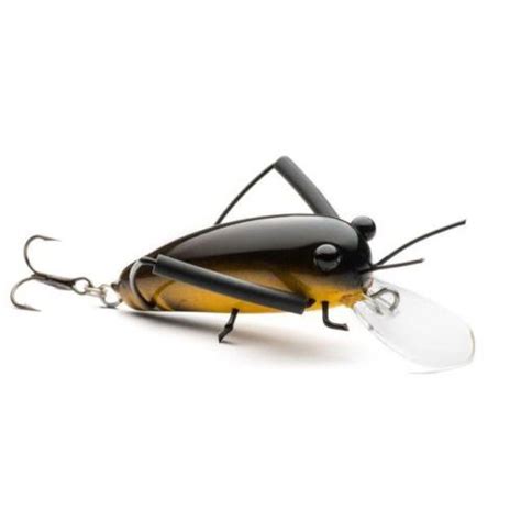 Dm Cricket Lures Small Wooden Black Yellow Finish Tackle