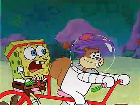 Spongebob Squarepants S02e23 Prehibernation Week Video Dailymotion