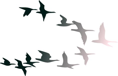 Free Flying Away Cliparts Download Free Flying Away Cliparts Png