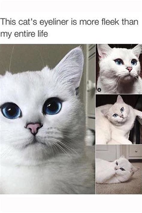 20 Beauty Memes That Will Make You Laugh Out Loud