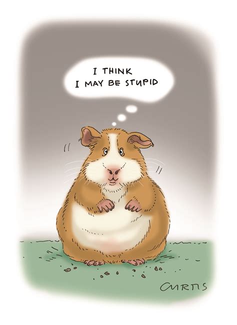 Cartoon Guinea Pigs