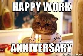 Happy Work Anniversary Meme Cat