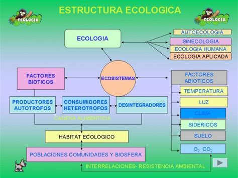 Ecología Cuadros sinópticos e imágenes Cuadro Comparativo