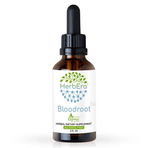 Bloodroot Alcohol Free Herbal Extract Tincture Responsibly Farmed