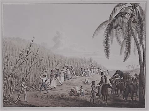 A History Of Slavery In Plantation Agriculture Brewminate A Bold