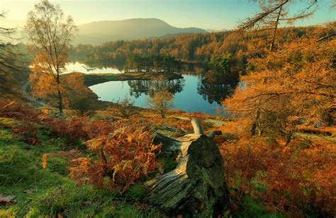 Photos England Cumbria Autumn Nature Scenery Rivers Trees 1920x1250