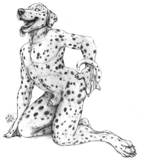 Podívejte se, co furry boys (furryboys0032) nalezl(a) na pinterestu, největší sbírce nápadů na světě. Dalmatian by Blotch | Anime animals, Furry art, Animal art