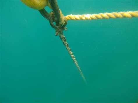 Who knows what's down there...