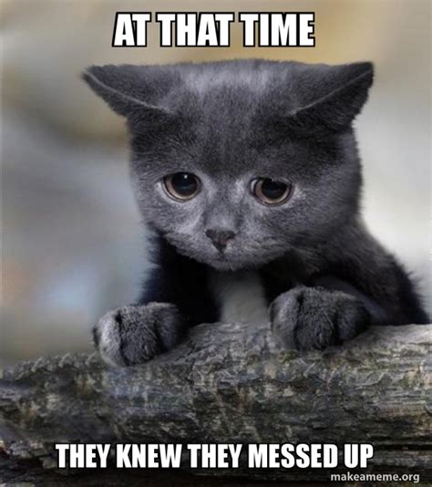 At That Time They Knew They Messed Up Confession Cat Make A Meme