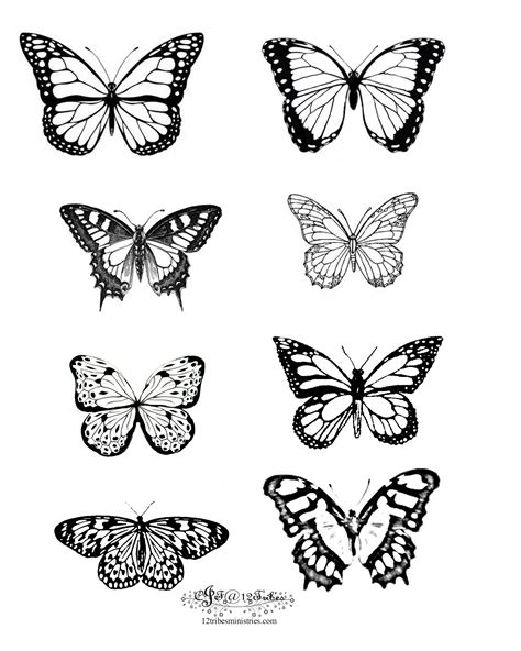 8 Mariposas Monarch Butterfly Tattoo Simple Butterfly Tattoo