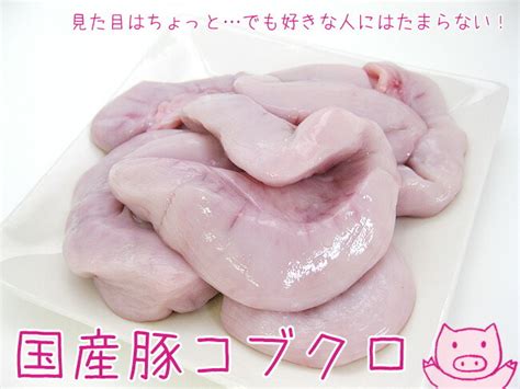 × oc (but it's you) (hiatus). 【楽天市場】国産豚コブクロ500g×3袋 計1.5kg≪低カロリーで希少 ...