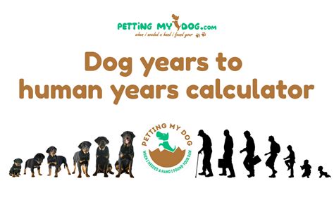 Dog Years To Human Years Calculator Convert Dog Years In Human Years
