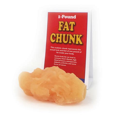 Fat Chunk Model 1 Lb Health Edco Health Education Models