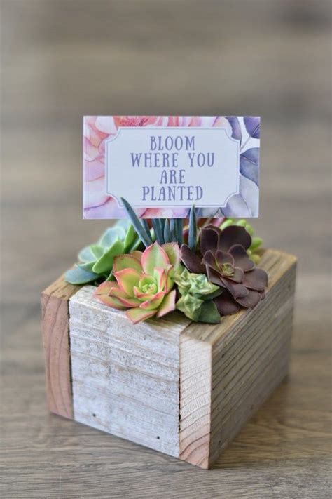 Maybe you would like to learn more about one of these? Succulents in wooden box succulent gift box succulent ...