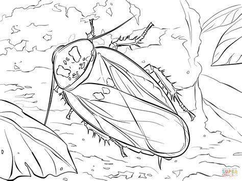 Free printable teddy bear coloring pages for kids from bear in cave coloring page. Bat Cave Cockroach coloring page | Free Printable Coloring ...