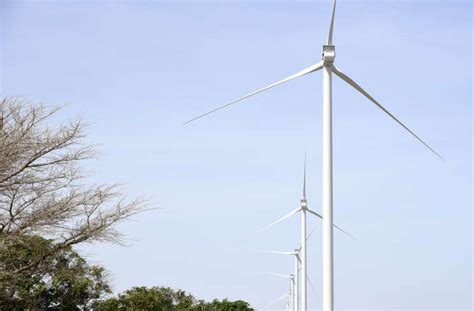 le sénégal achève le plus grand parc éolien d afrique de l ouest