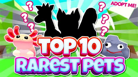 Top Rarest Pets In Adopt Me Roblox Youtube