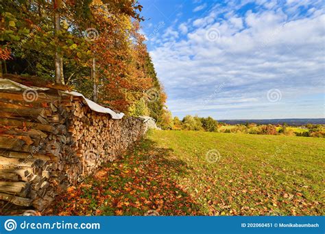 Dried Firewood On A Meadow At Edge Of German Odenwald Forest With