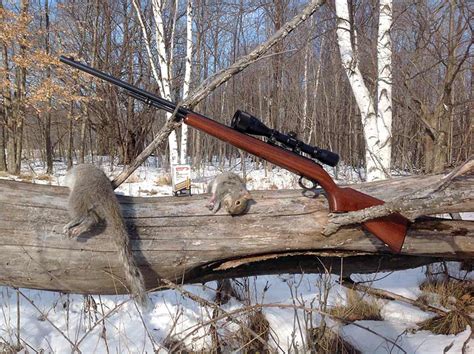 5 Reasons To Varmint Hunt