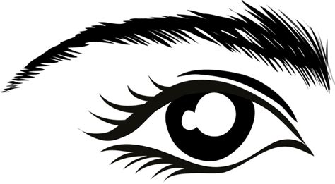 Free Eyebrows Eyes Vectors Pixabay