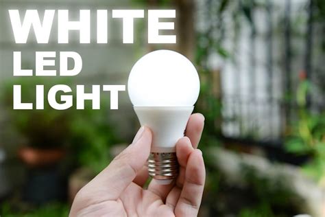 Benefits Of White Led Light Bulbs For Natural Lighting