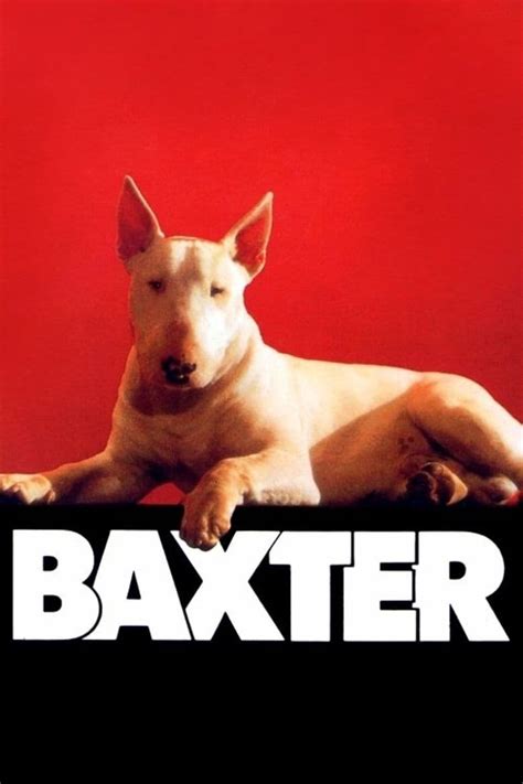Baxter 1989 Posters — The Movie Database Tmdb
