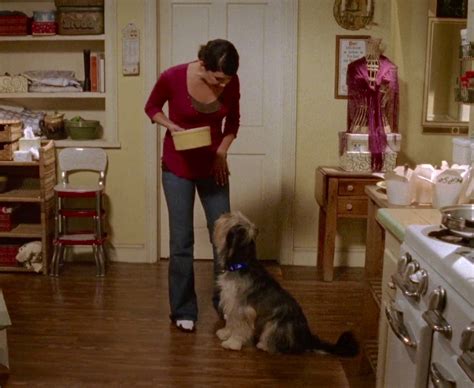 The Gilmore Girls Revival Adds Paul Anka The Dog In What Is The Best