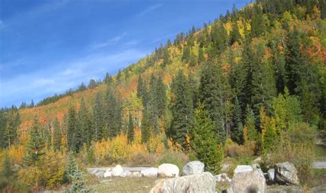 Colorado Fall Colors Season Fall Foliage September 17 2014