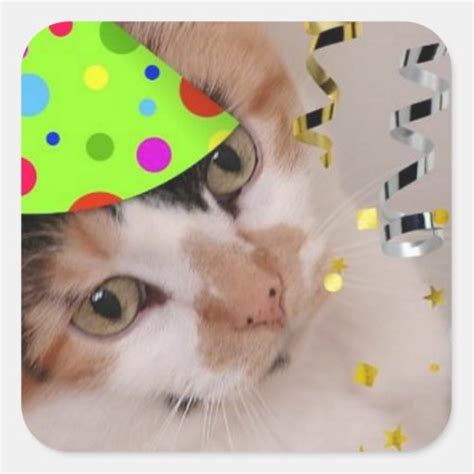 Happy Birthday Party Calico Cat Square Sticker Zazzle
