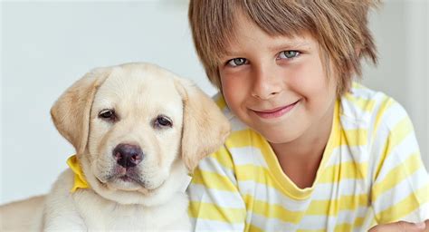 Dogs And Kids How To Play With A Dog Safely