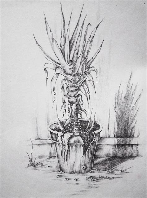 Plant Drawing Study On Behance
